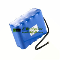 Battery Replacement for Cadnica 20KR-CH