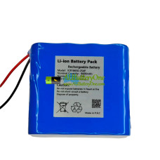 Battery Replacement for PLC ICR18650-2S4P