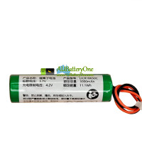 Battery Replacement for PLC LICR18650C PA-P1BW