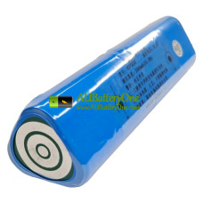 Battery Replacement for PLC 6S18650-H3